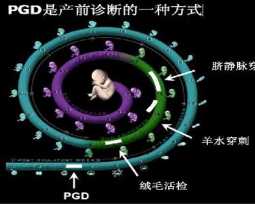 北京代怀供卵机构有几家,沈阳代怀流程