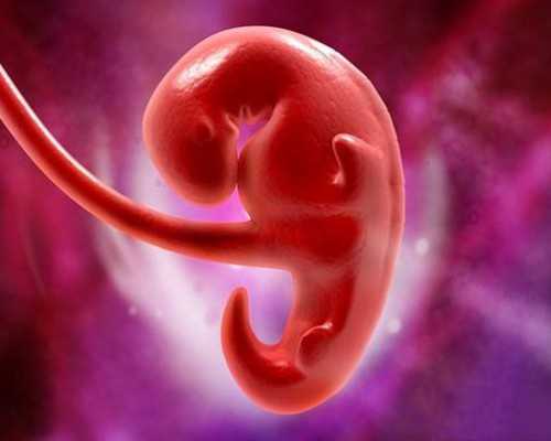 东阳代怀咨询|专家解答：40岁还能去美国做试管婴儿生二胎吗？