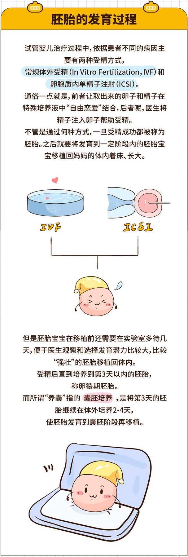 陕西代孕包生女孩,试管婴儿到底要不要养囊?胚胎的发育过程_上海供卵试管公司