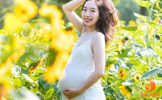 芜湖三大助孕公司有哪些_【深圳供卵试管成功率】与大家分享经验，祝愿大家
