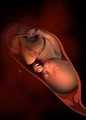贵阳代孕该怎么做准备_贵阳寻找代孕妈_试管婴儿鲜胚移植第10天着床出血是好