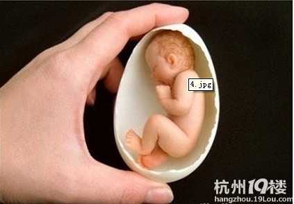 杨浦80万高级包成功代孕套餐_杨浦试管助孕_移殖试管胚胎后怎么做怀孕率高些