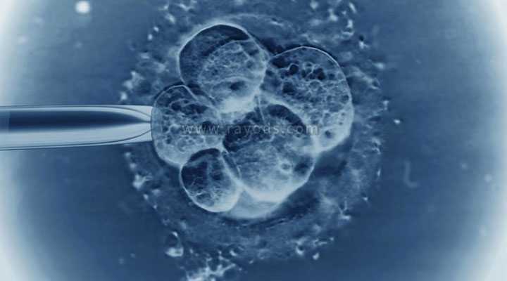 梁平世纪助孕高端机构_梁平助孕机构哪家好_试管移植应该选择第三天的胚胎还