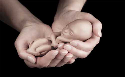 巫溪个人代孕2021_巫溪做代孕还要求学历颜值血型_做试管婴儿需要多少钱，国内