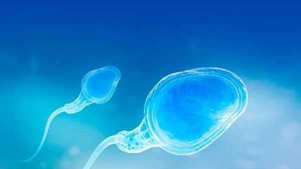 宿州失独找代孕如何操作_宿州哪里的代孕便宜_子宫内膜异位症能做试管婴儿吗