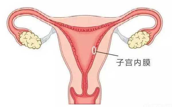 切除子宫后能找代孕吗_哪里能有条件的代孕_做试管婴儿前，吃什么能对子宫内