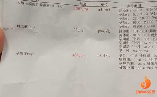 大港代孕最低价格_上海三代试管成功率有多高?