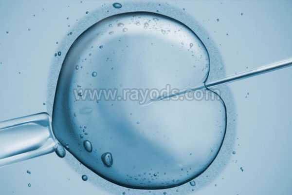 代怀生孩子_供卵试管代怀生子,第二代试管对精子的要求有哪些？第二代试管的