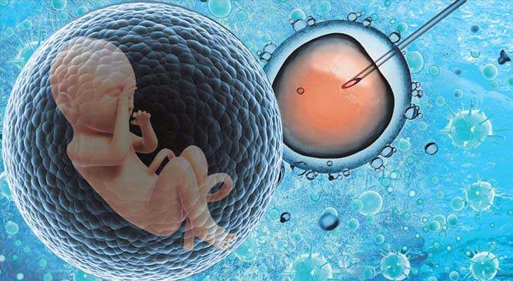 伊春代怀孩子联系方式,泰国试管婴儿的时间安排-冻胚移植后一点感觉没有会成